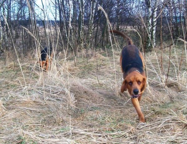 Zagapiła się...pierwszy!