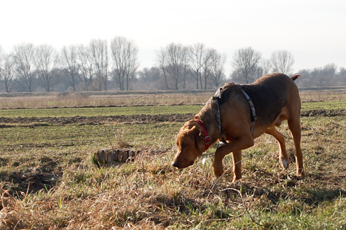 spacer_w (39 of 77).jpg