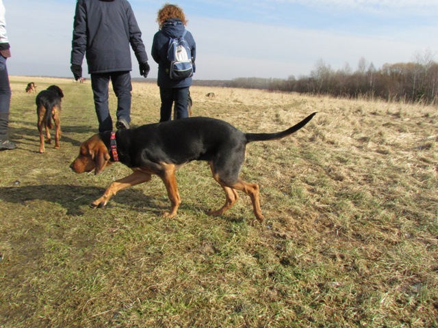 spacer walentynkowy 201104.JPG