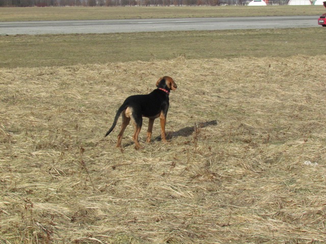 spacer walentynkowy 201106.JPG