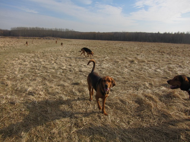 spacer walentynkowy 201110.JPG