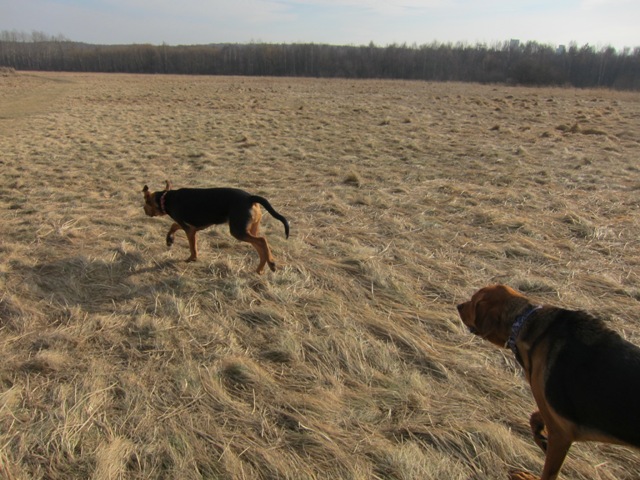 spacer walentynkowy 201115.JPG