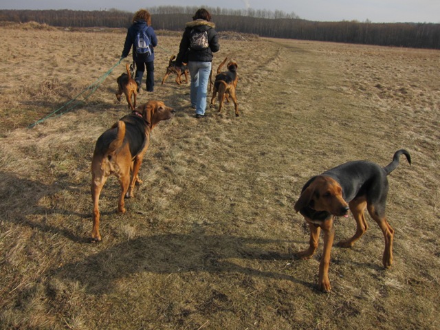 spacer walentynkowy 201117.JPG