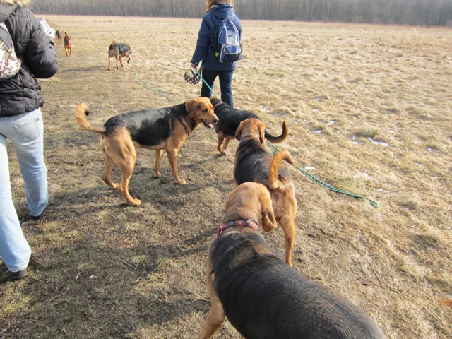 spacer walentynkowy 201123.JPG