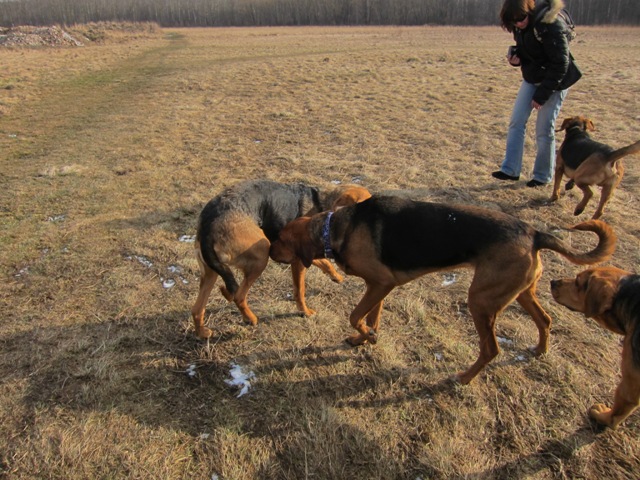 spacer walentynkowy 201124.JPG