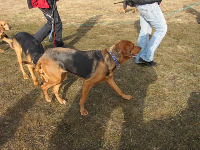 spacer walentynkowy 201127.JPG