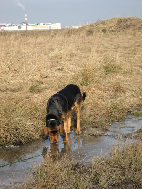 spacer walentynkowy 201136.JPG