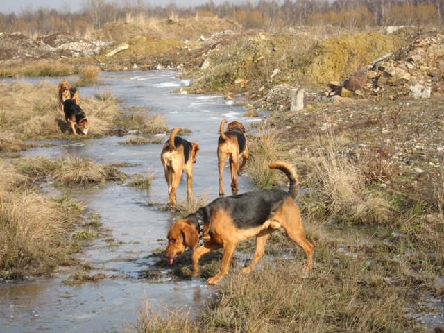 spacer walentynkowy 201139.JPG