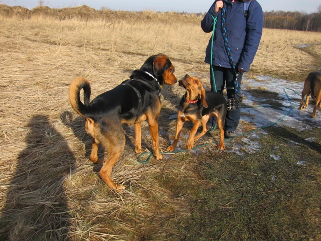 spacer walentynkowy 201146.JPG