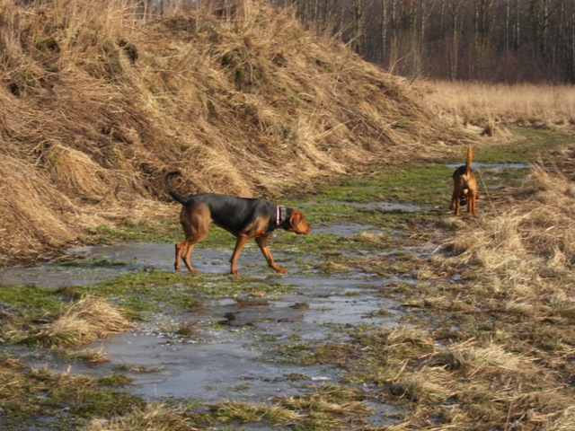 spacer walentynkowy 201142.JPG