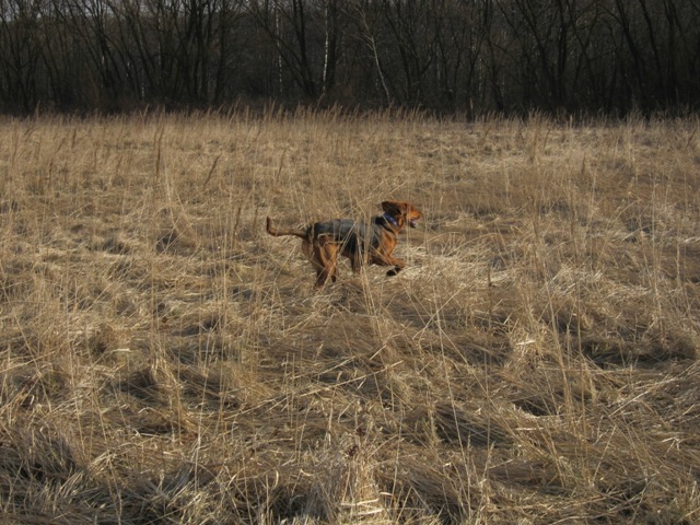 spacer walentynkowy 201147.JPG