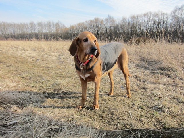 spacer walentynkowy 201151.JPG