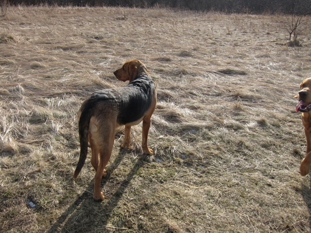 spacer walentynkowy 201154.JPG