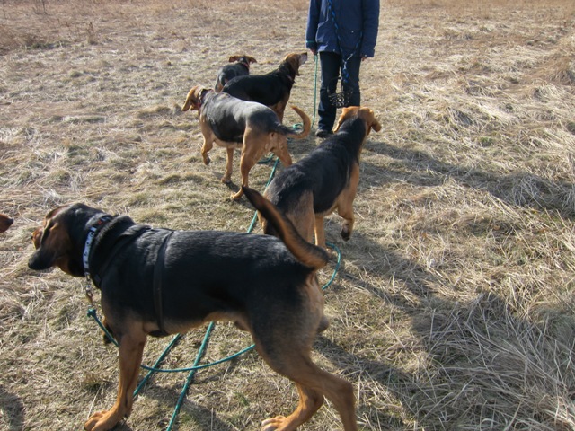 spacer walentynkowy 201156.JPG