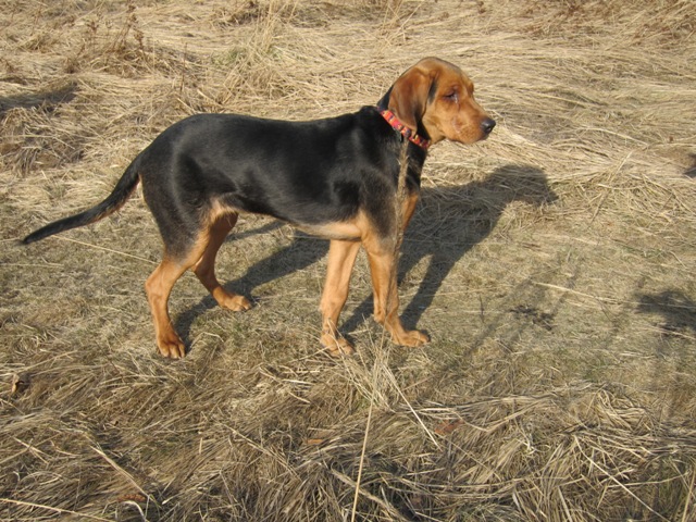 spacer walentynkowy 201168.JPG
