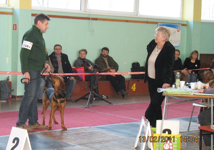 ocena traszki.JPG