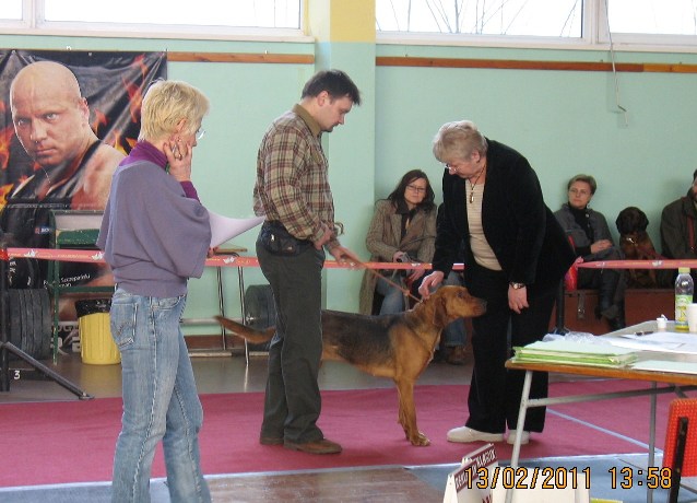 oceniana wierna.JPG