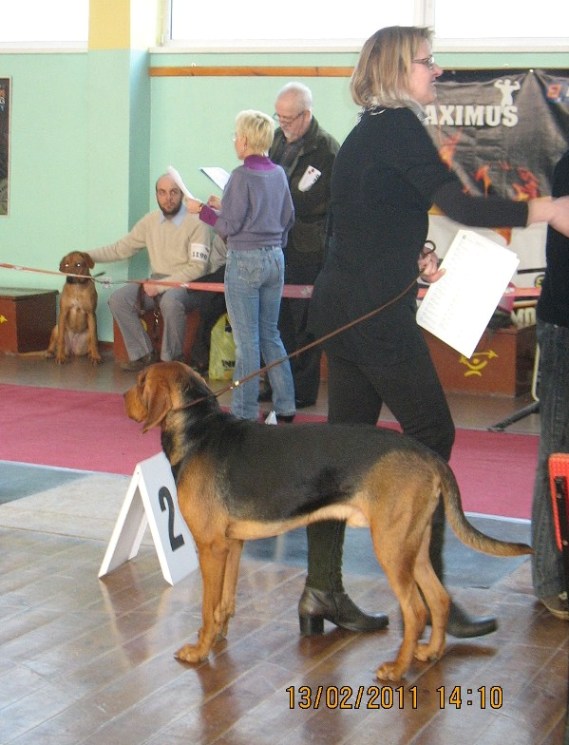smyk gratulacje.JPG