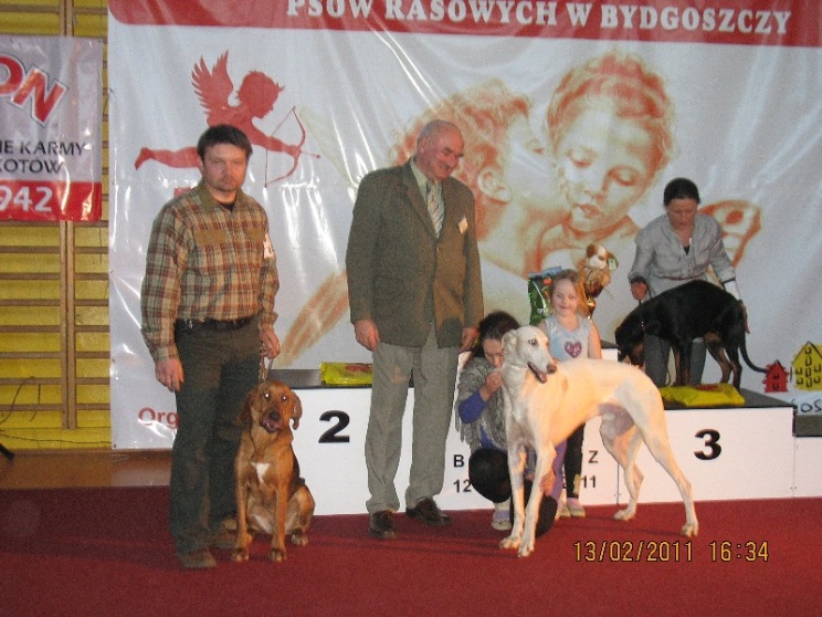 naj pies ras polskich.JPG