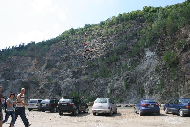 krysy%20u%20nas%20273s.jpg