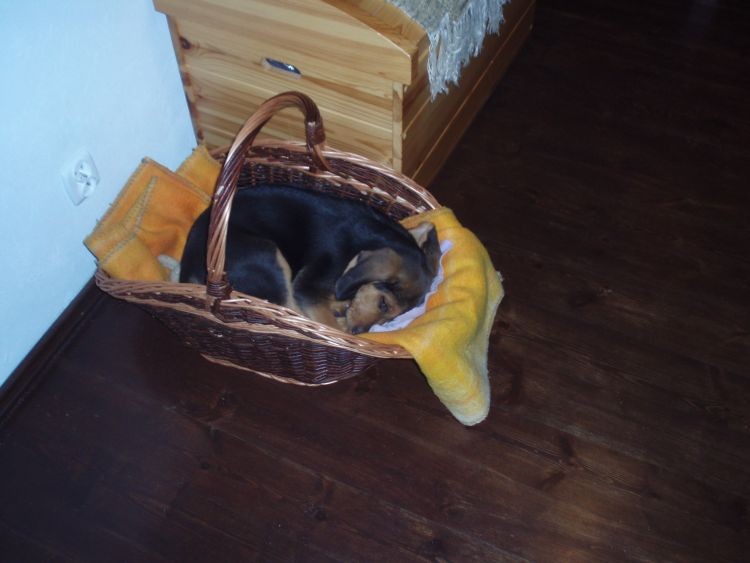 PA022341.jpg