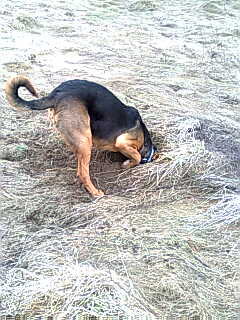 Zdjęcie0126.jpg