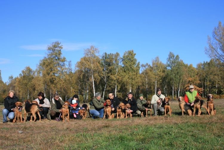 400km oby pospacerować z Ogarami-pewnie Pańcia lubi jeździć autem ;)