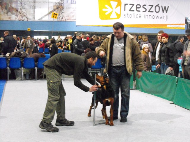 DSCF5019.JPG