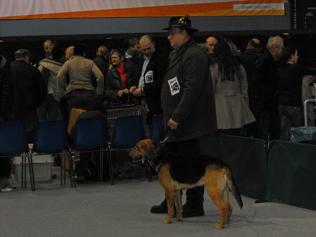 DSCF5041.JPG