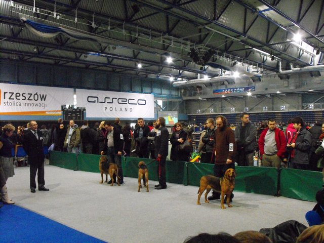 DSCF5058.JPG
