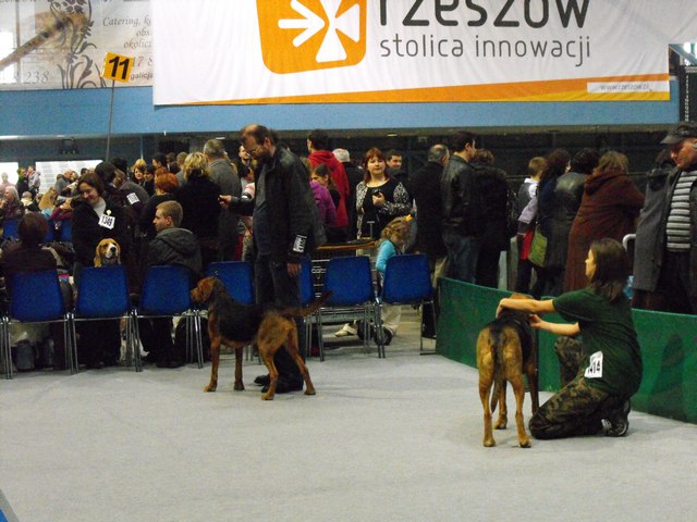 DSCF5067.JPG