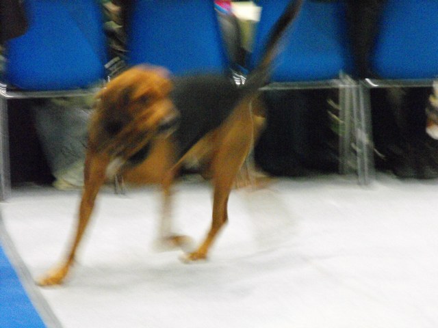 DSCF5071.JPG