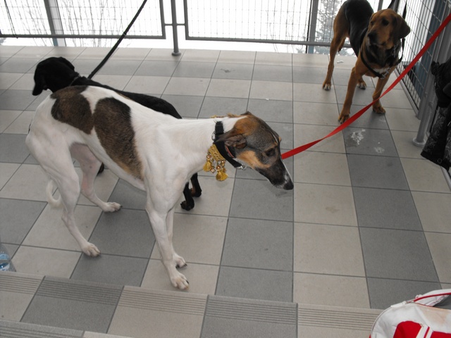 DSCF5088.JPG