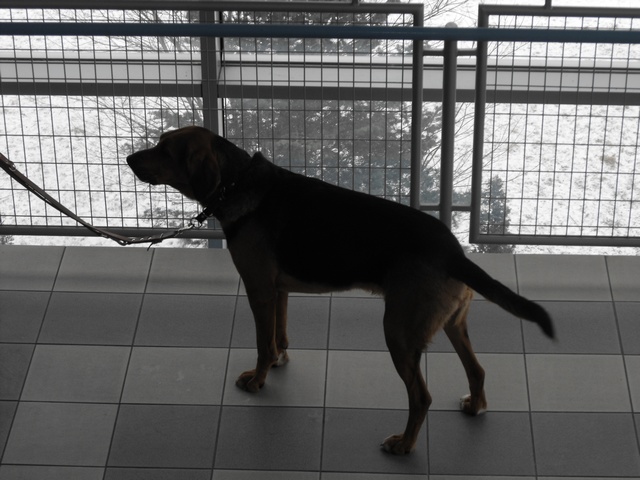 DSCF5092.JPG