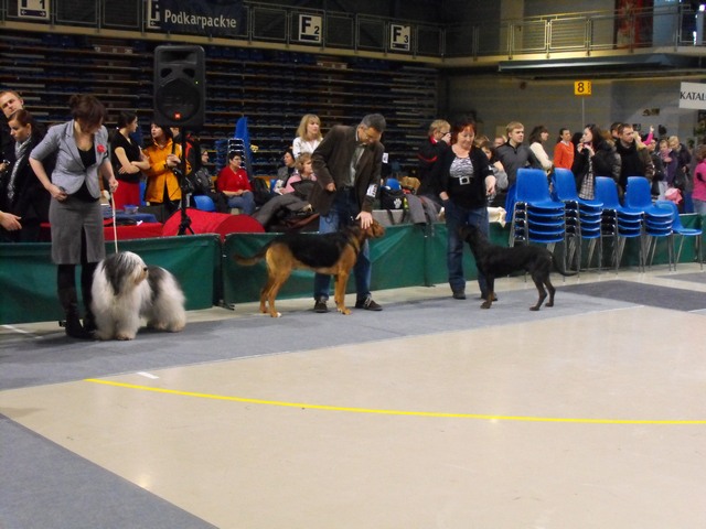 DSCF5095.JPG