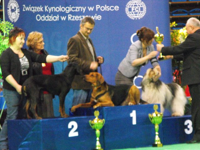 DSCF5111.JPG