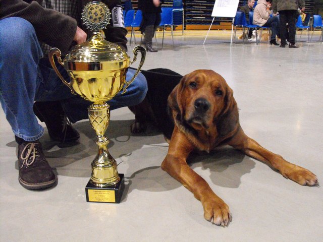 DSCF5113.JPG