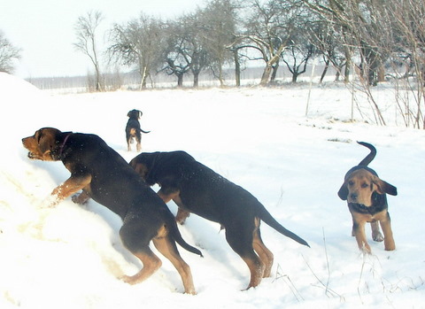 P1010003.JPG