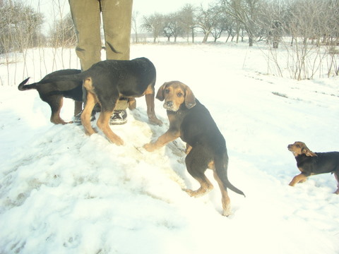 P1010007.JPG