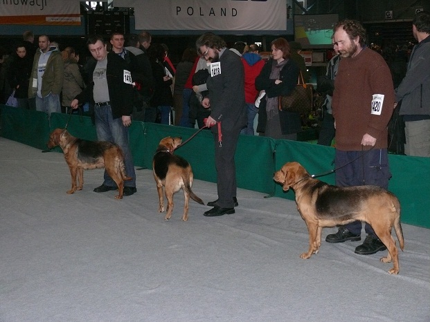 Suki w otwartej.