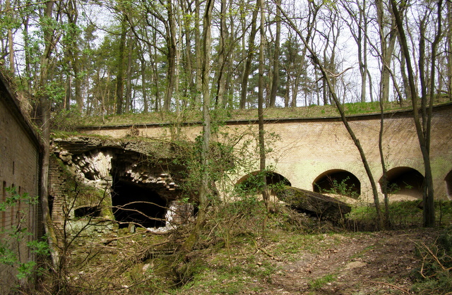 P4150194.JPG