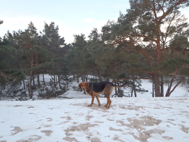 P2250157.JPG