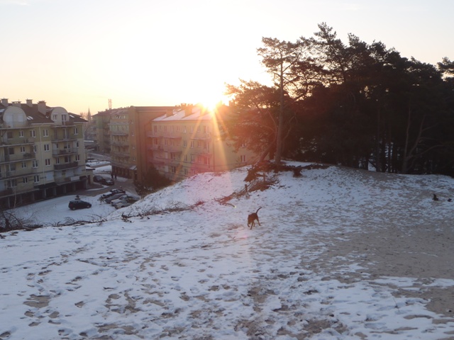 P2250163.JPG