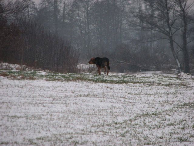 Zima 2010_11 033.jpg