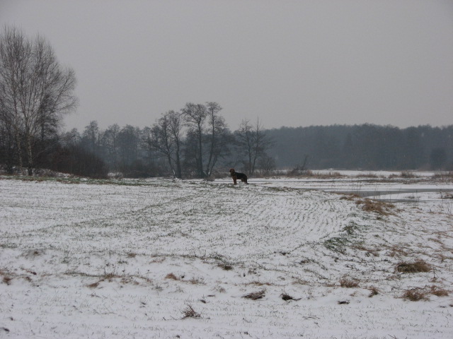 Zima 2010_11 032.jpg
