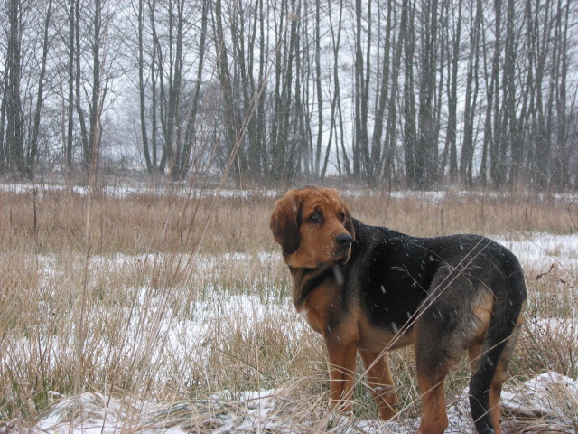 Zima 2010_11 044.jpg