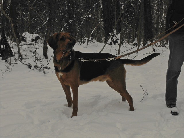 DSCF5002.JPG