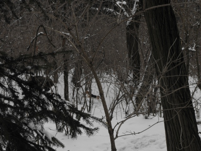 DSCF5020.JPG