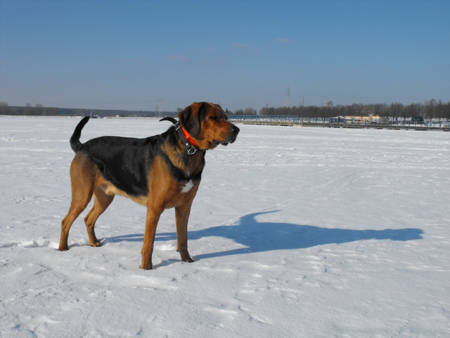 DSCF500.JPG