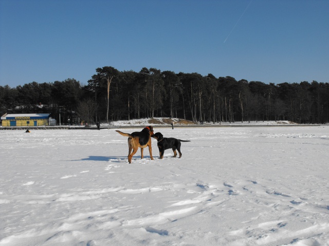 DSCF5004.JPG